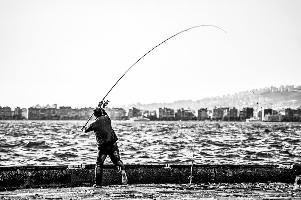 rsz_1pexels-payam-masouri-230151-731354 (1)